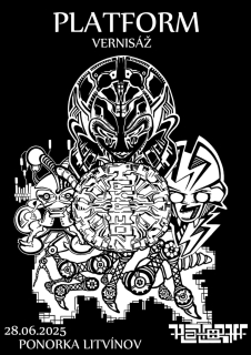 20250628_pono